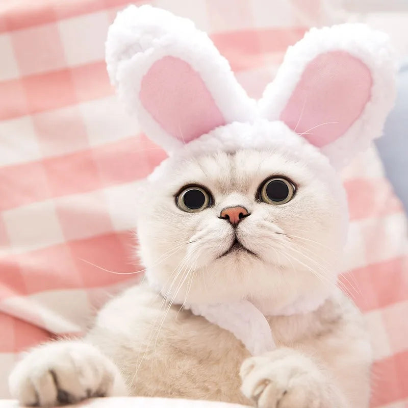 Lion Mane Wig Hat for Dogs and Cats - Smarsty