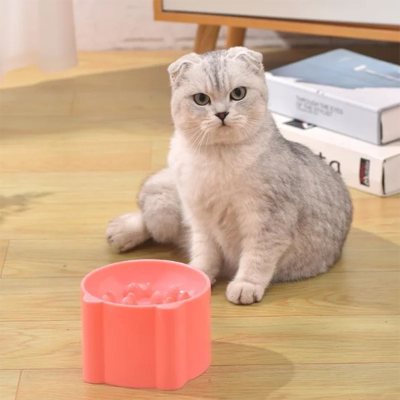 Slow Feed Dog Bowl for Anti-Choking Protection - Smarsty