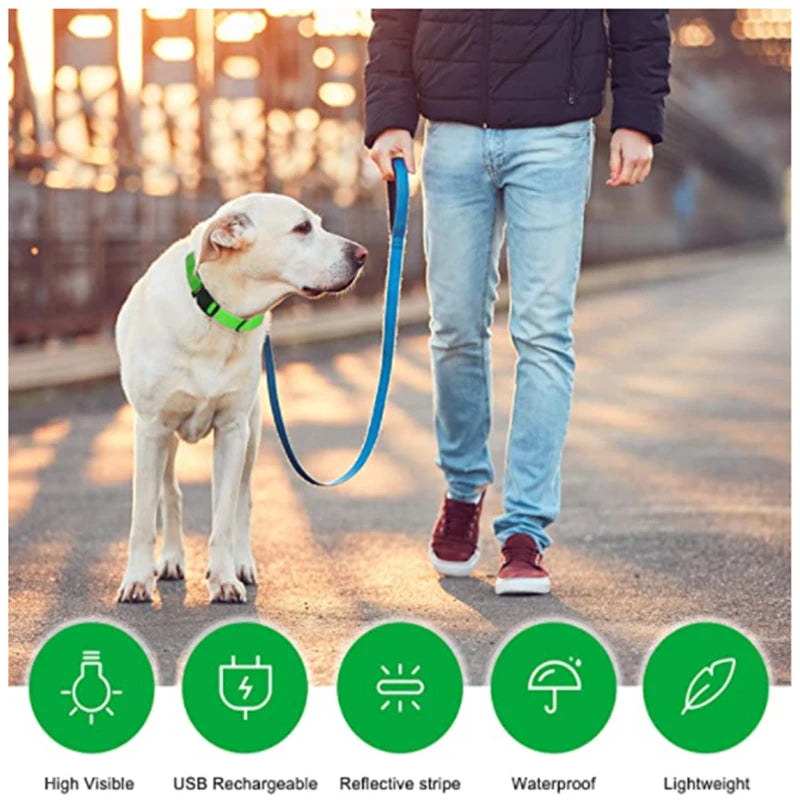 USB Charging Bright LED Dog Collar for Night Safety - Smarsty