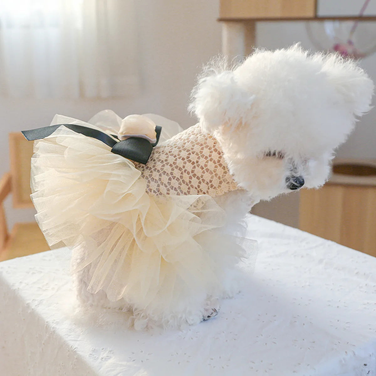 Luxury Kawaii Dog Dress with Pearl Collar for Small Pets - Smarsty