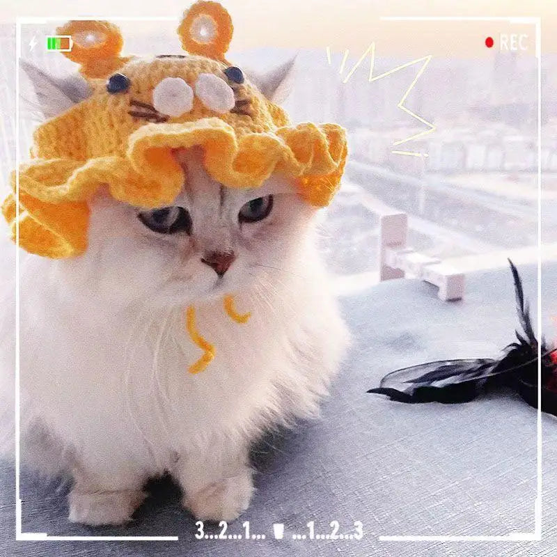 Cute Knitted Cat Hat for Warmth and Fun - Smarsty
