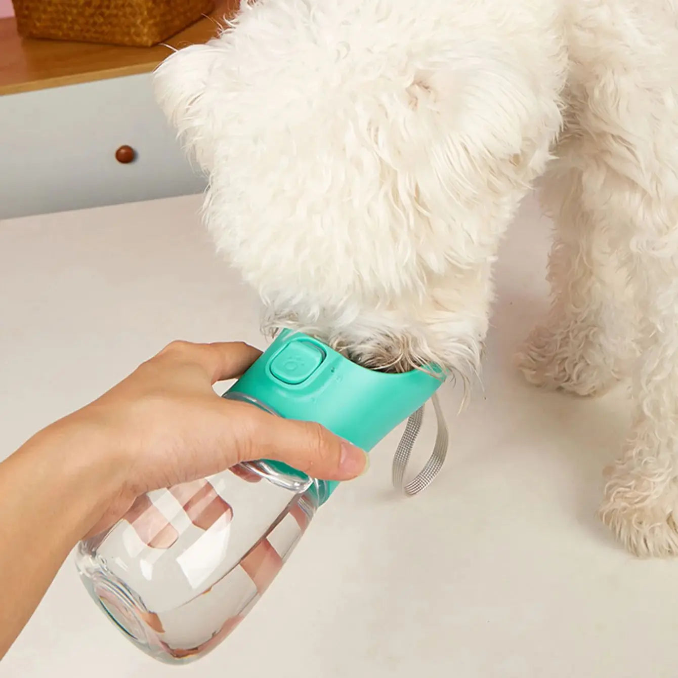 Portable Leakproof Dog Water Bottle for Hiking - Smarsty