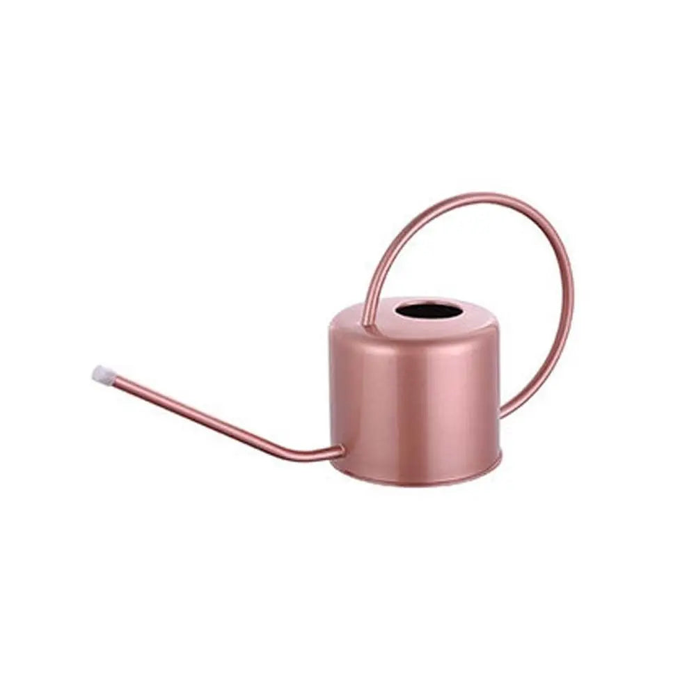 Rustproof Leakproof Stainless Steel Watering Can with Long Nozzle - Smarsty
