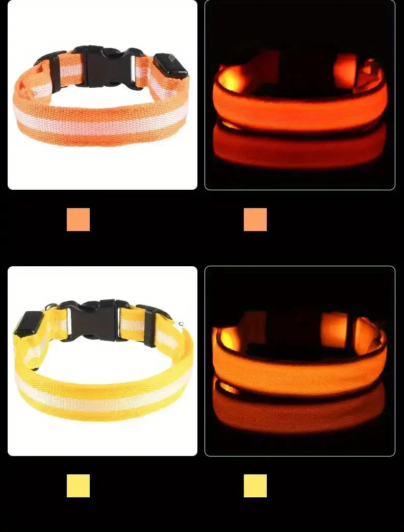 Nylon LED Glow In The Dark Dog Leash - Smarsty