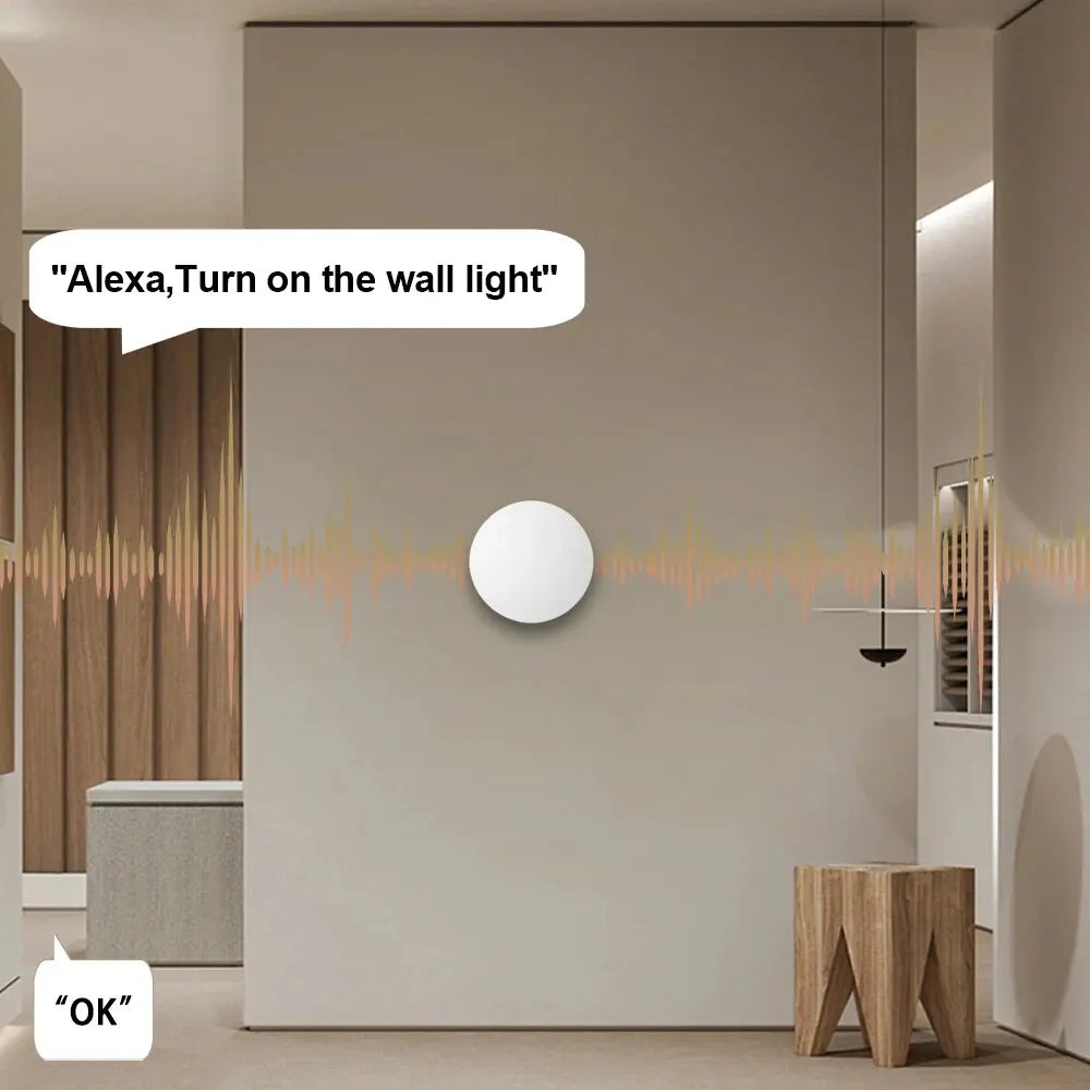 Tuya ZigBee Smart Scene Switch for Voice Control - Smarsty