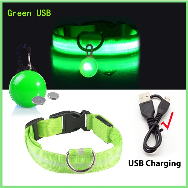 USB Charging Bright LED Dog Collar for Night Safety - Smarsty