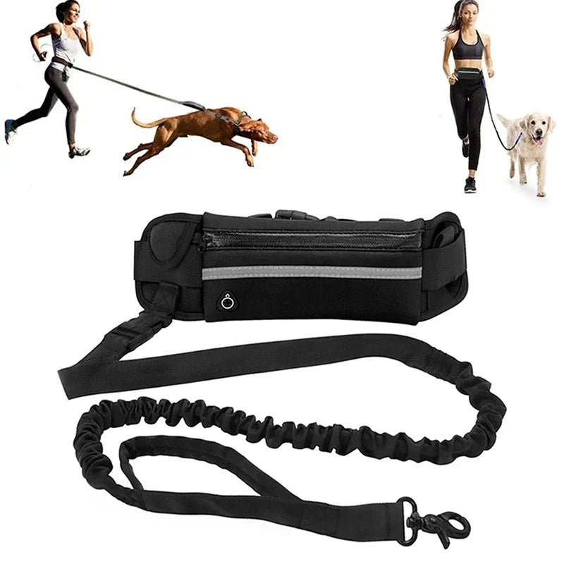 Hands Free Dog Leash with Reflective Elastic Belt - Smarsty