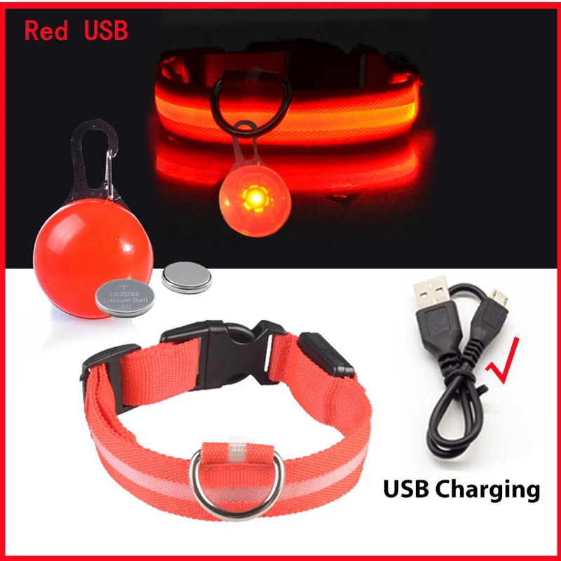 USB Charging Bright LED Dog Collar for Night Safety - Smarsty