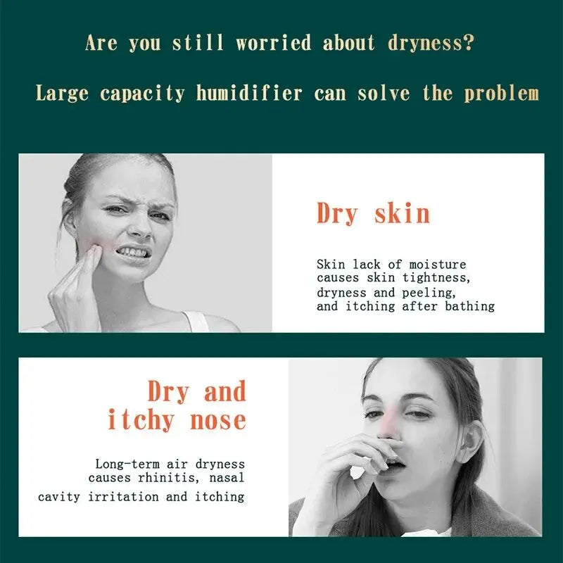 Large Capacity Dual Spray USB Humidifier for Home - Smarsty