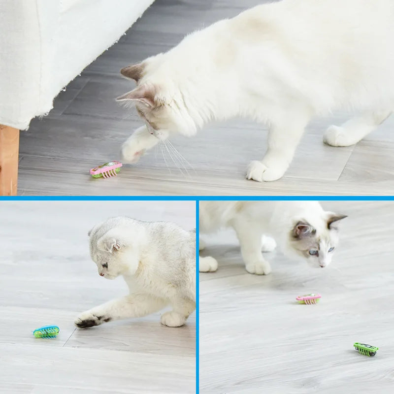 Funny Electric Catnip Bug Toy with Automatic Tunnel - Smarsty