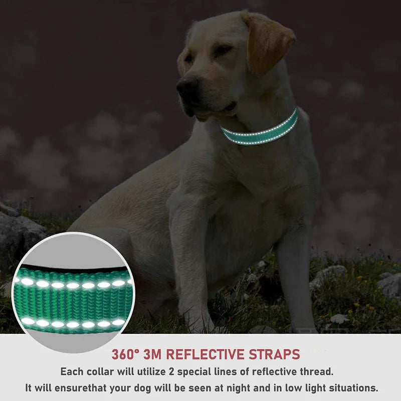 Reflective Nylon Dog Collar With Adjustable Safety Feature - Smarsty