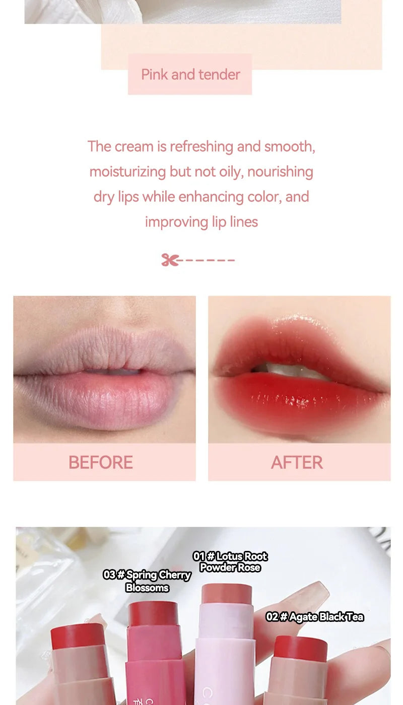 HAIPINK Tinted Moisturizing Lip Balm Set for Hydration - Smarsty