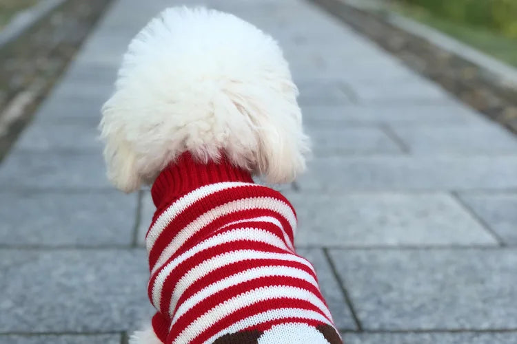 Warm Dog Coat for Small Dogs Winter Jacket - Smarsty