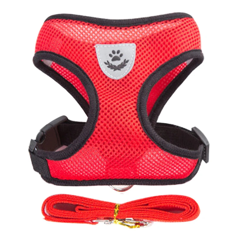 Adjustable Dog Harness and Leash Set for Small Dogs - Smarsty