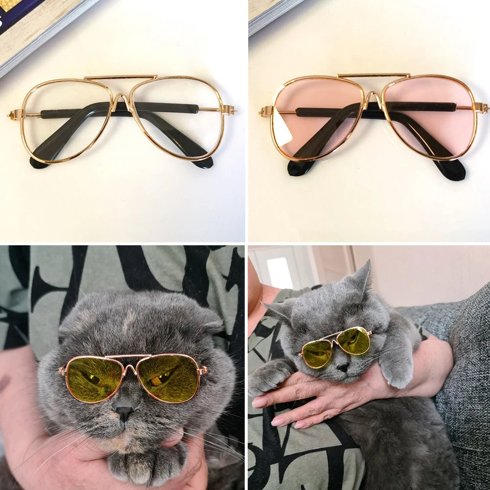 Vintage Round Dog Sunglasses for Stylish Pet Photos - Smarsty