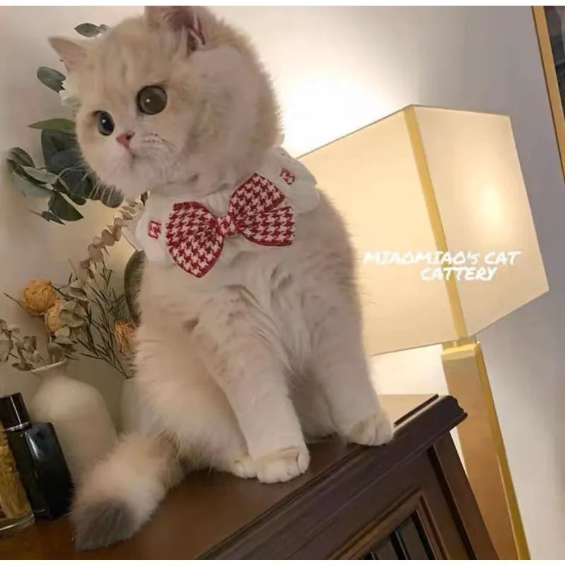 Cute Cat and Dog Tie Pet Drool Towel with Lace - Smarsty