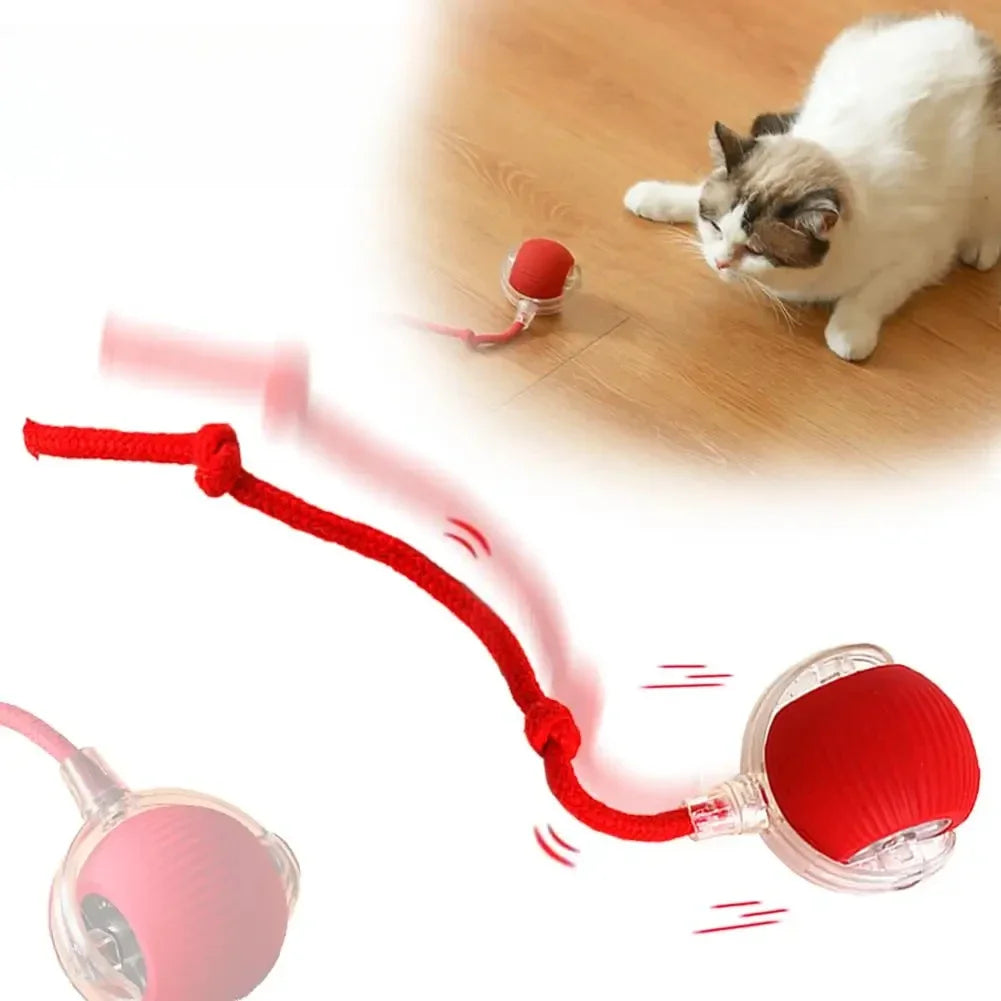 Interactive Electric Cat Toy Ball for Engaging Play - Smarsty
