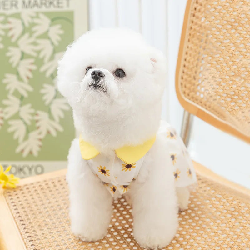 Cute Summer Dog Princess Dress with Bow Lace - Smarsty