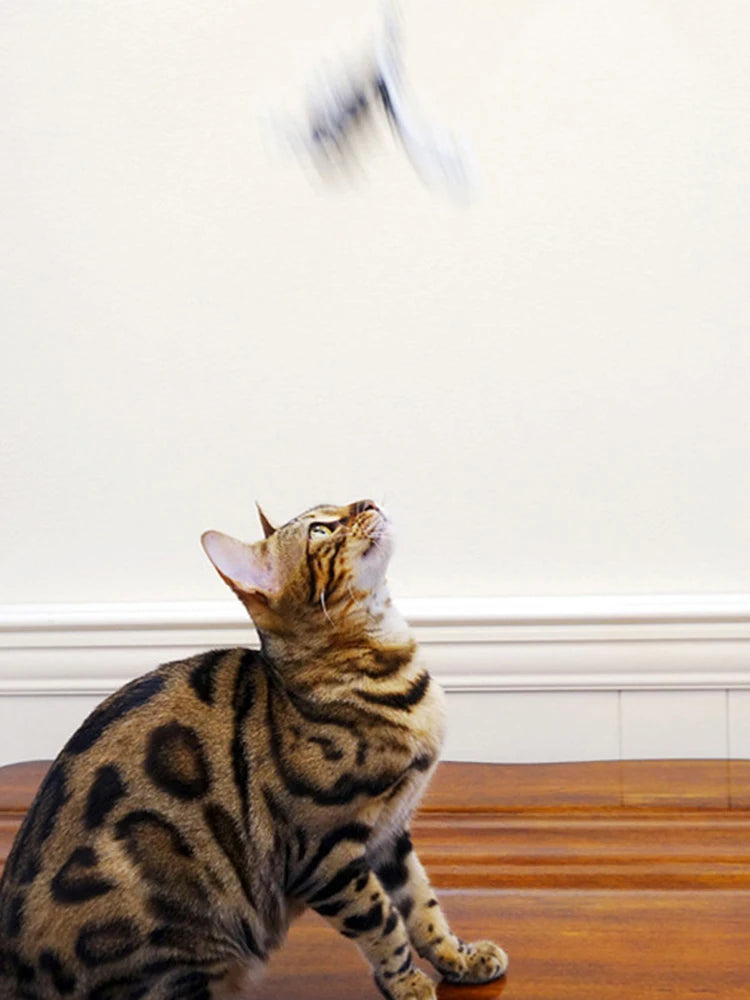 Cat Teaser Stick With Bell and Feather Fun - Smarsty