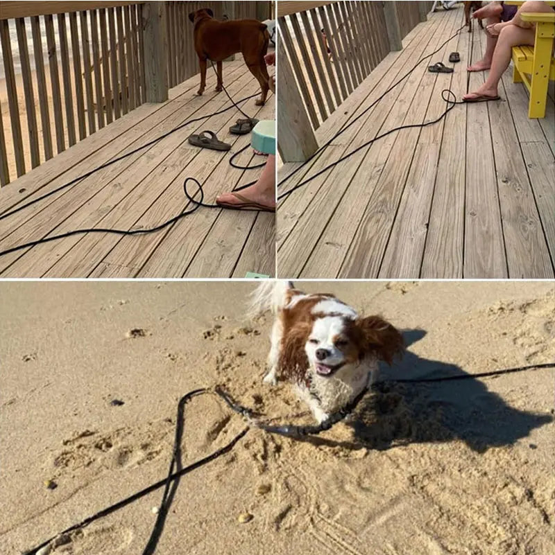 Heavy Duty Nylon Dog Leash for Training - Smarsty