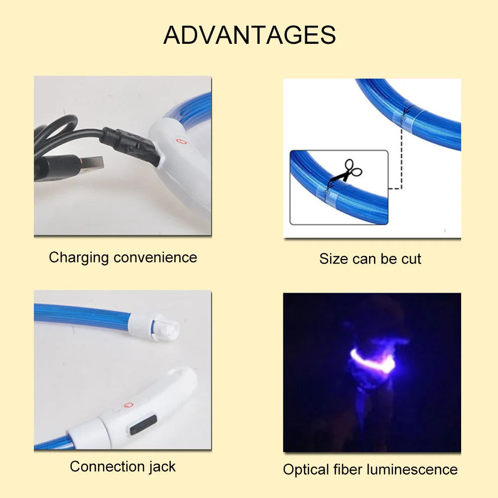 LED USB Dog Collar for Night Safety and Visibility - Smarsty