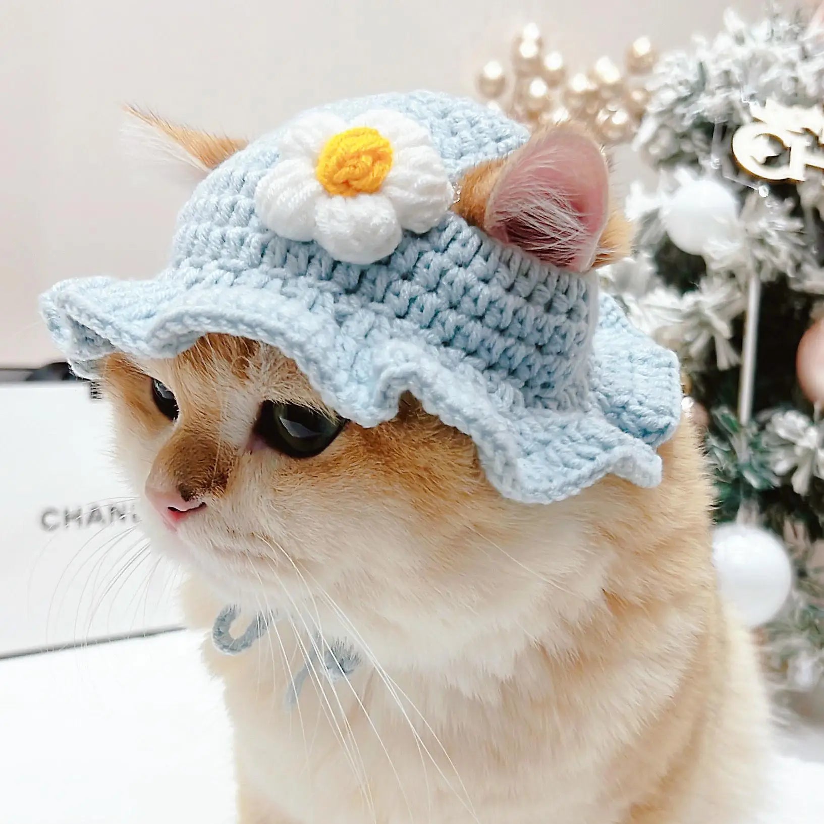 Cute Knitted Cat Hat for Warmth and Fun - Smarsty