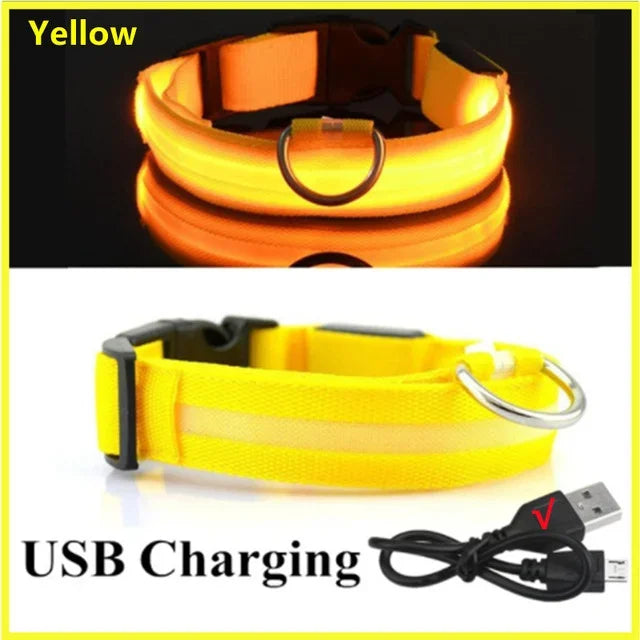 LED Glowing Dog Collar Adjustable Rechargeable Night Safety - Smarsty