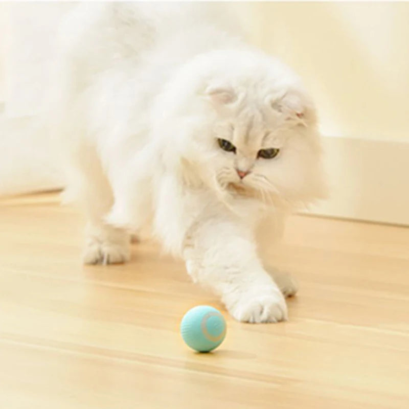 Interactive Rechargeable Cat Ball Toy for Engaging Play - Smarsty