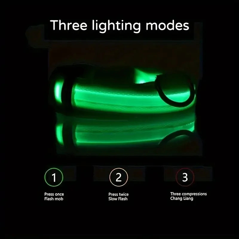 Nylon LED Glow In The Dark Dog Leash - Smarsty