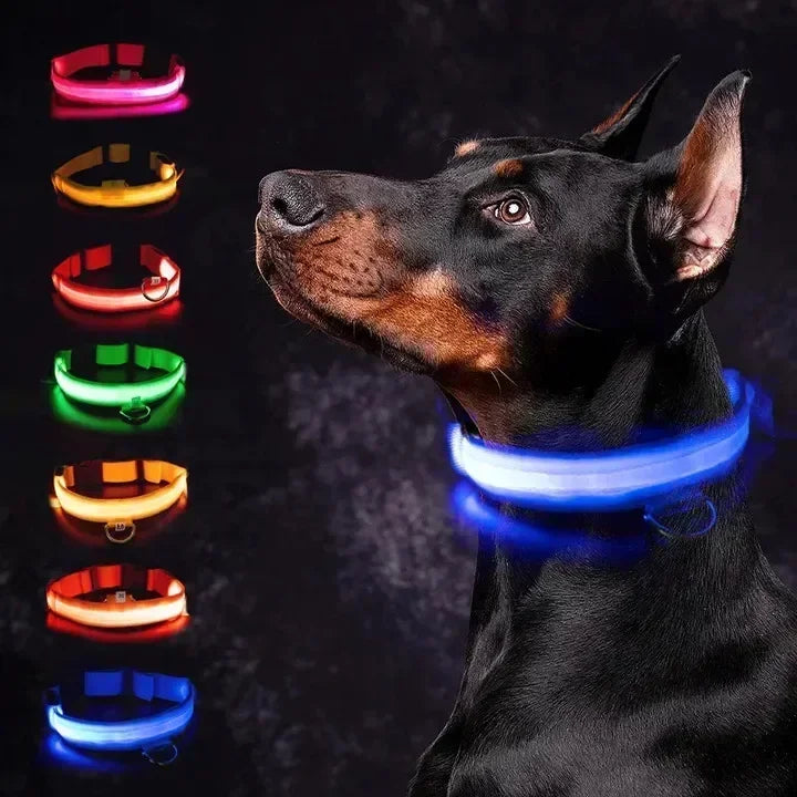 LED Glowing Dog Collar Adjustable Rechargeable Night Safety - Smarsty