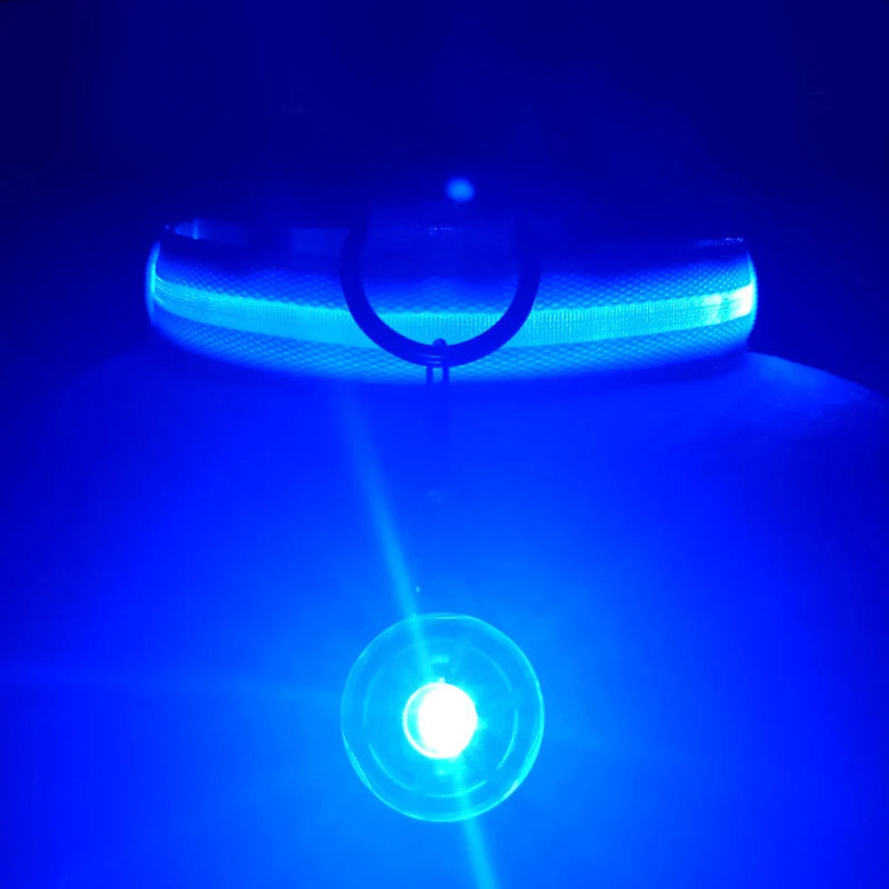 USB Charging Bright LED Dog Collar for Night Safety - Smarsty