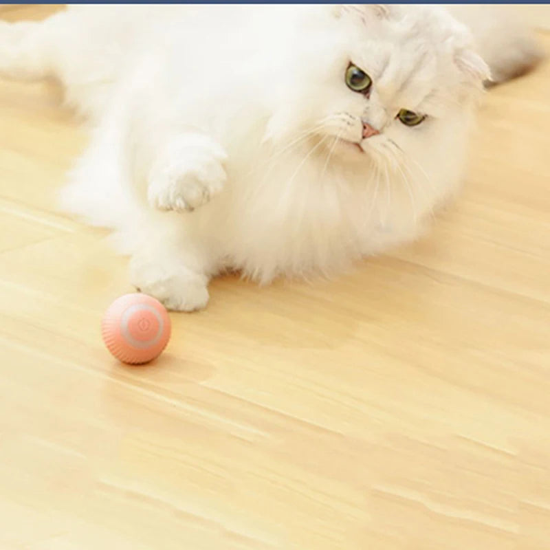 Interactive Rechargeable Cat Ball Toy for Engaging Play - Smarsty