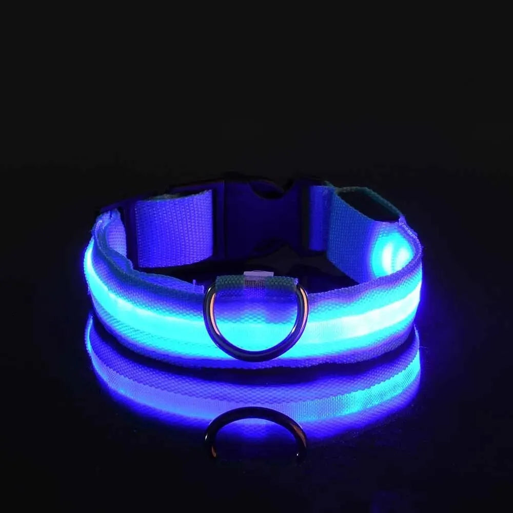 Nylon LED Glow In The Dark Dog Leash - Smarsty