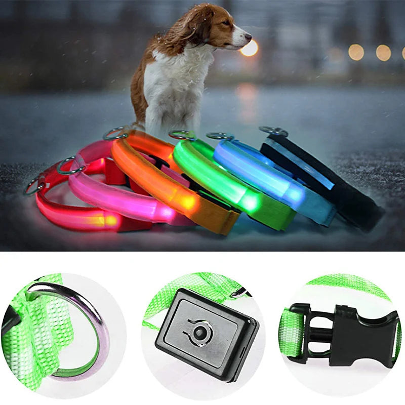 USB Charging Bright LED Dog Collar for Night Safety - Smarsty
