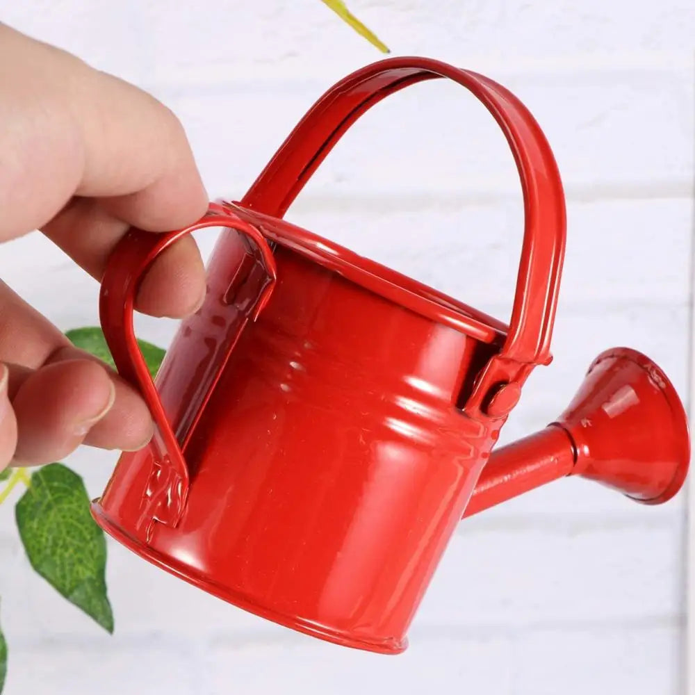 Metal Watering Can with Large Capacity for Garden Use - Smarsty