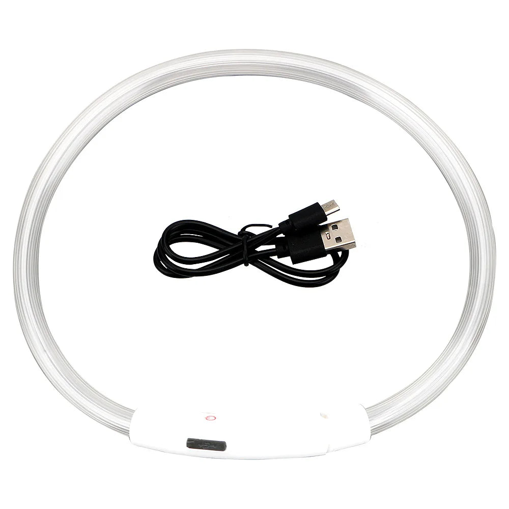 LED USB Dog Collar for Night Safety and Visibility - Smarsty