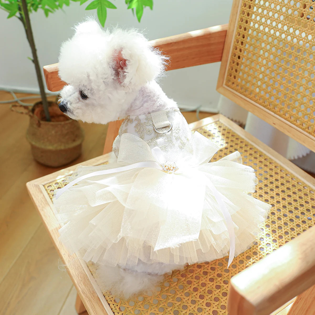 Breathable White Wedding Dress for Small Dogs - Smarsty