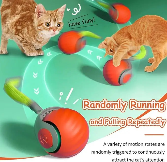 Interactive Electric Rolling Cat Ball Toy Rechargeable Fun - Smarsty