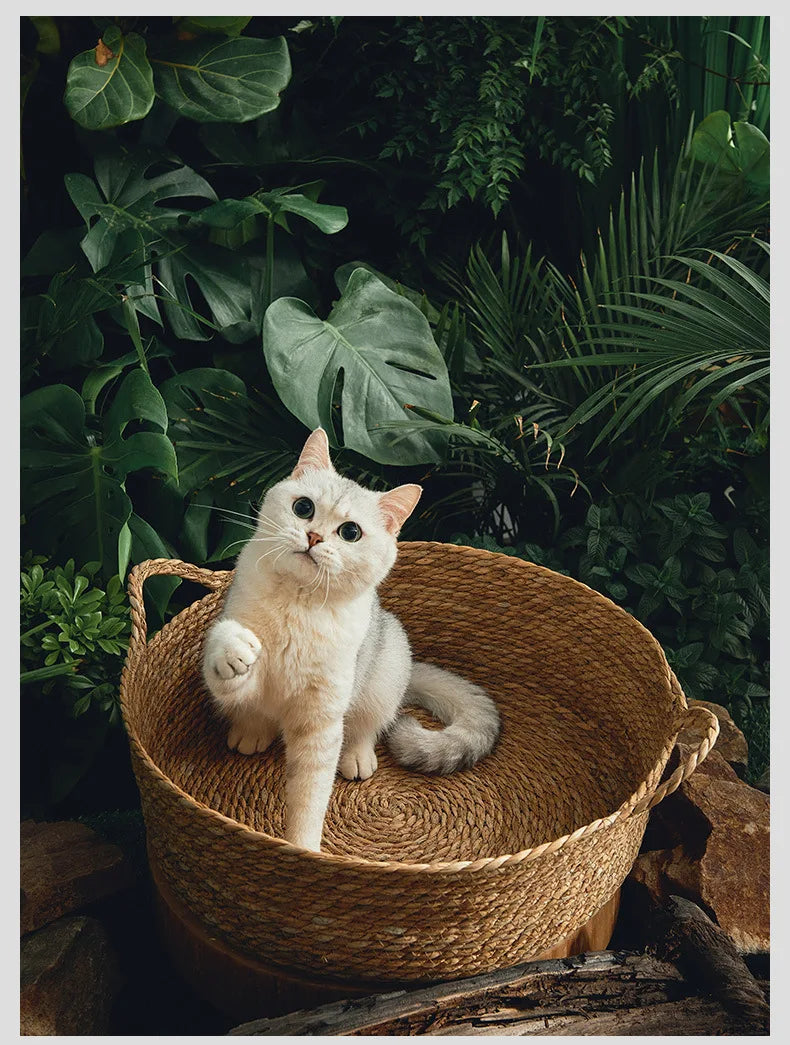 Rattan Weaving Cat Bed for Comfortable Summer Sleep - Smarsty