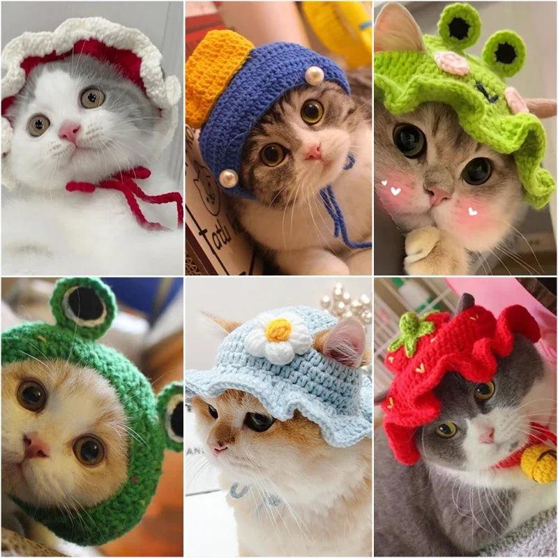 Cute Frog Cat Hat with Bunny Ears for Fun Costumes - Smarsty