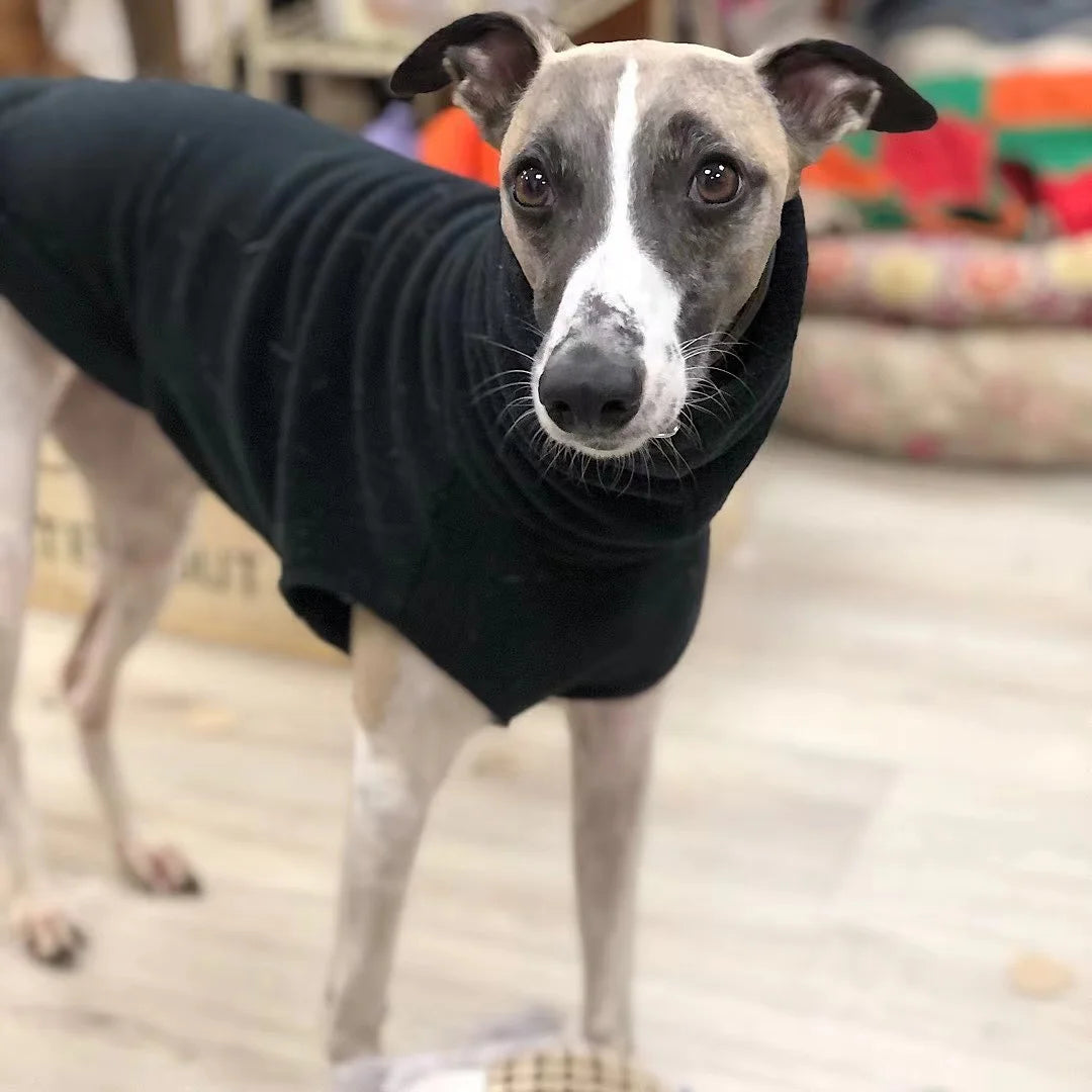 Winter Fleece Dog Vest for Italian Greyhounds - Smarsty