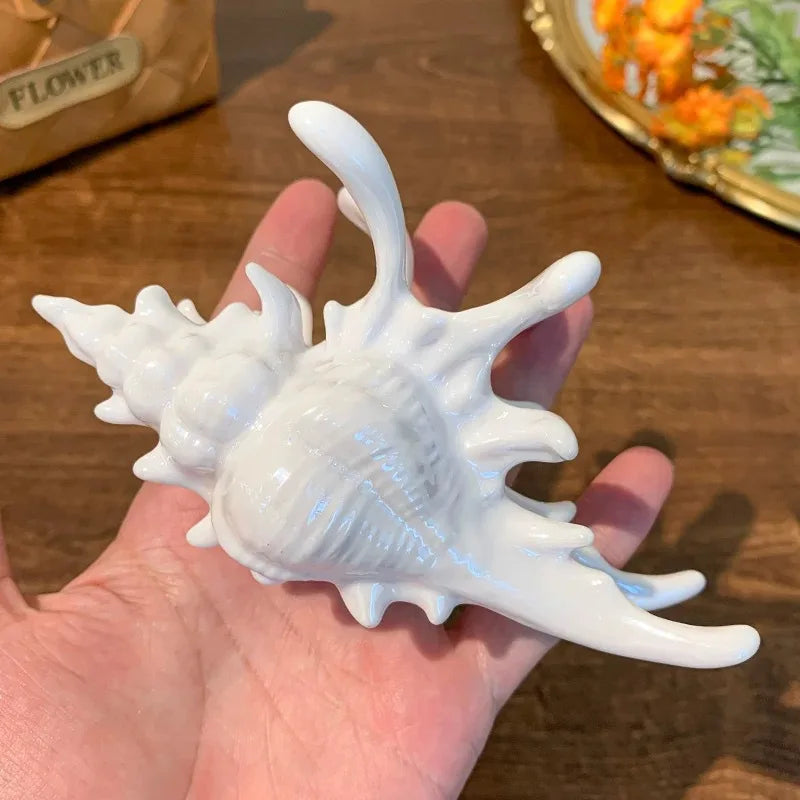 Acrylic Shark Claw Hair Clip Shell Beach Accessories - Smarsty