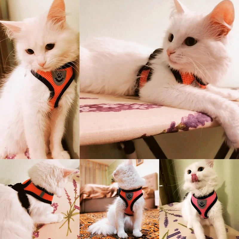 Breathable Adjustable Cat Dog Harness with Reflective Features - Smarsty