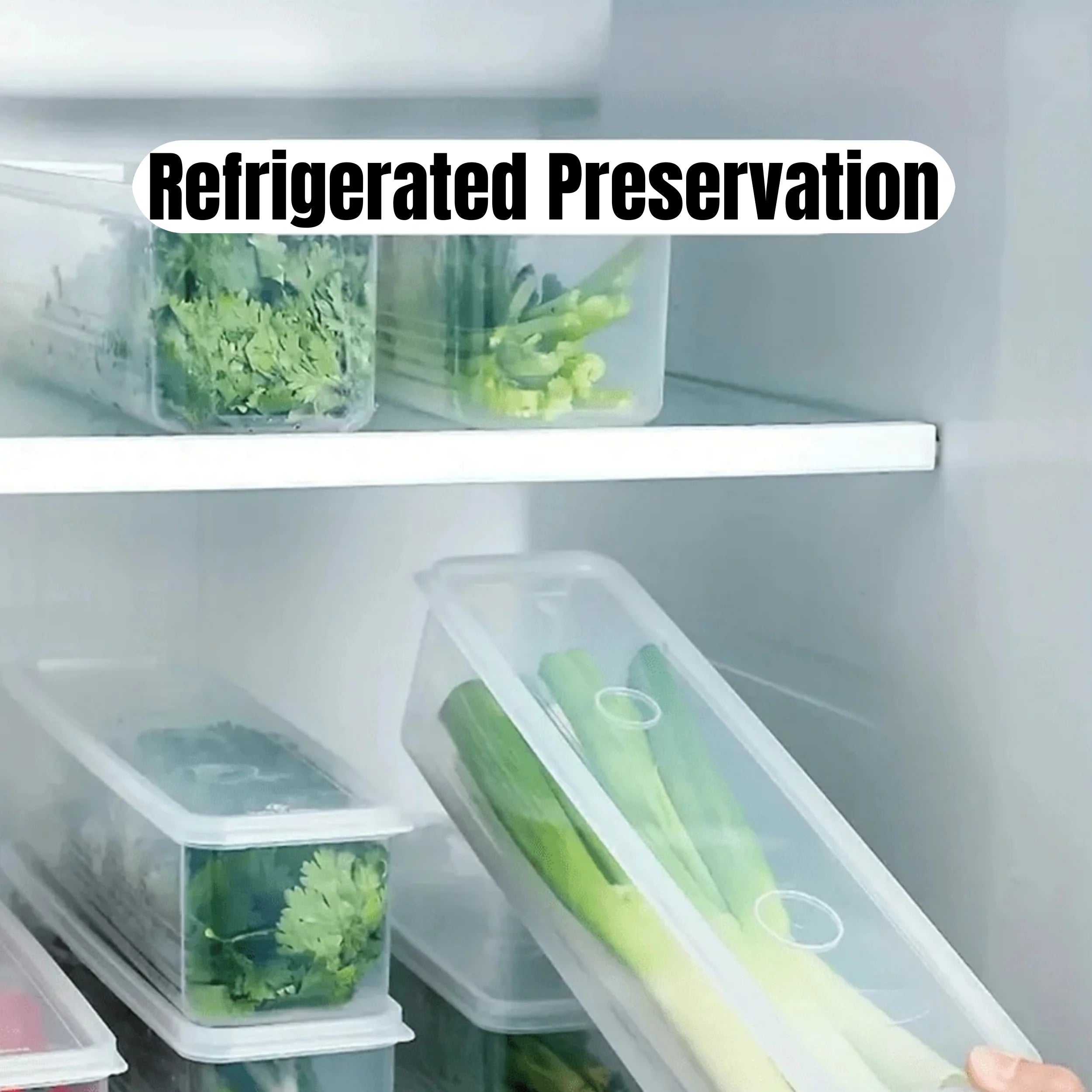 1/2/4Pcs Refrigerator Storage Boxes With Lid Plastic Fresh Keeping Box Kitchen Scallions Cilantro Eggs Noodles Sealed Container by Smarsty