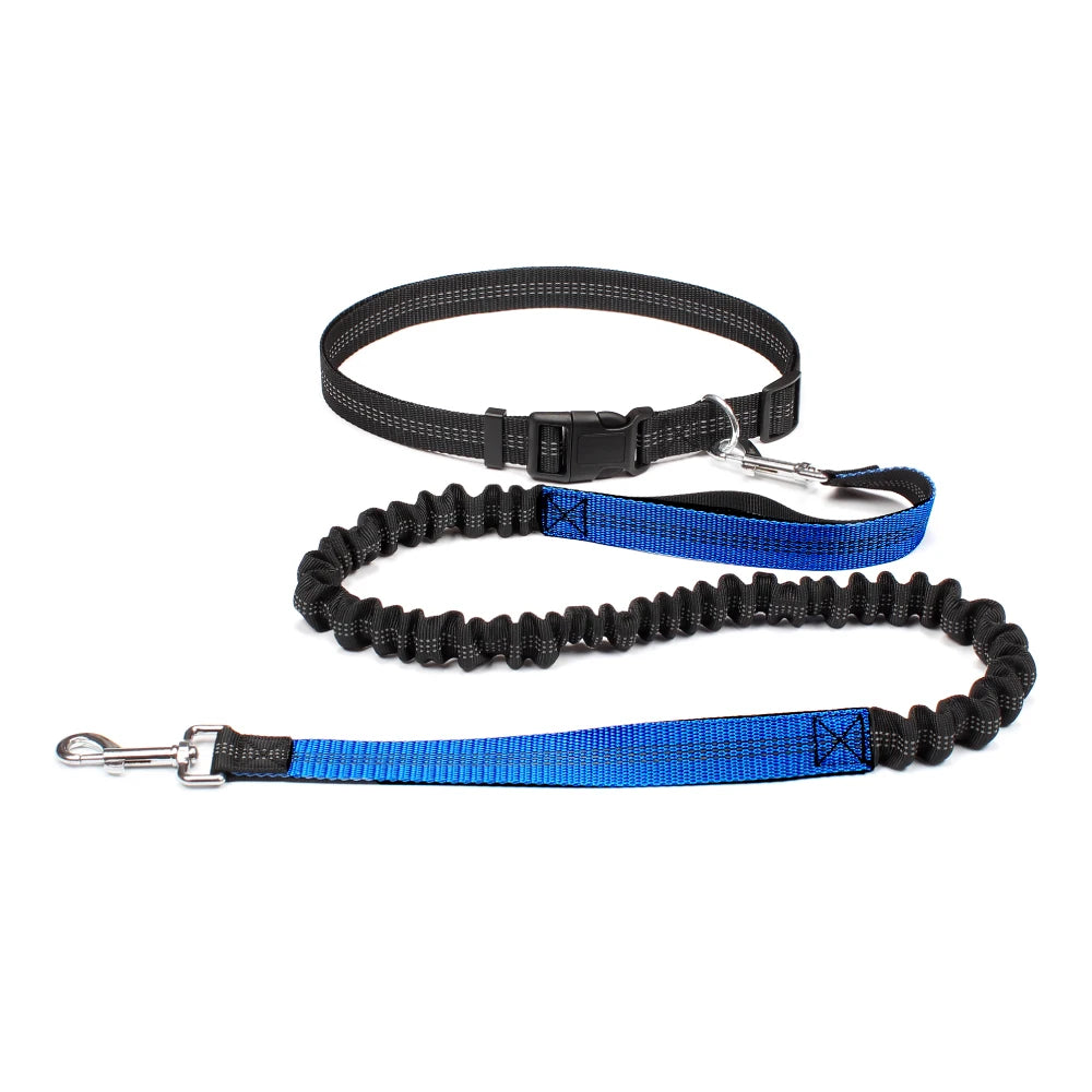 Hands Free Dog Leash for Jogging and Walking - Smarsty