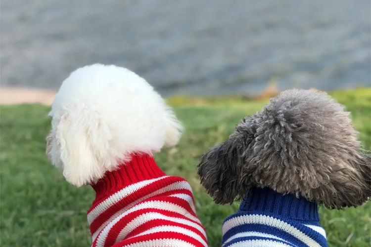 Warm Dog Coat for Small Dogs Winter Jacket - Smarsty