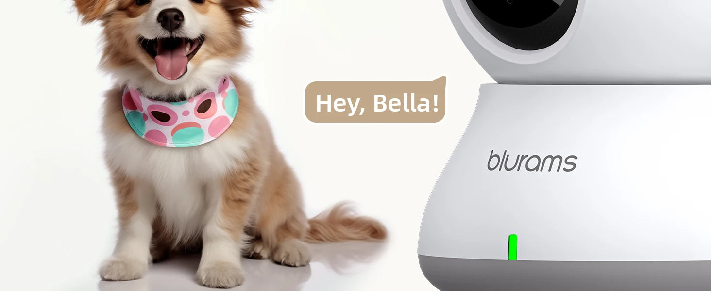 2.4&5G WiFi Indoor Camera, 2K, 360° PTZ Pet Dog IP CCTV Camera with Phone App, 2-Way Talk, Night Vision, for Home Securi