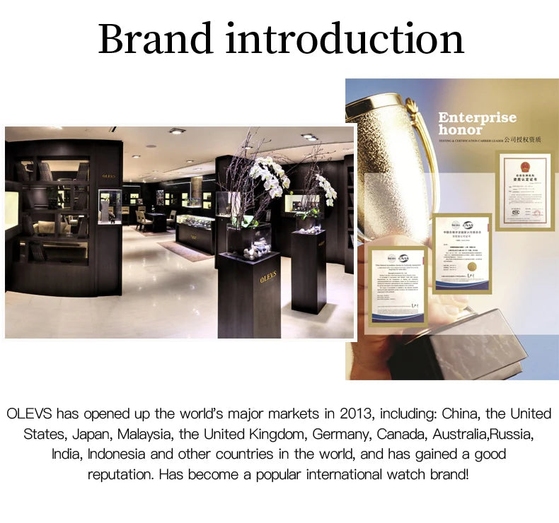 OLEVS Luxury Women's Automatic Mechanical Watch with Diamonds - Smarsty