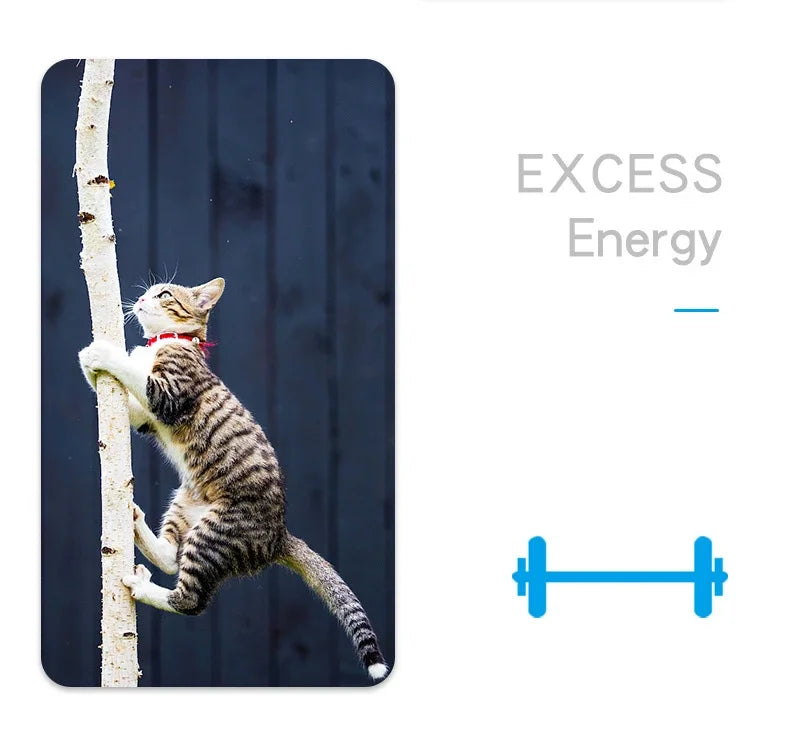 Funny Electric Catnip Bug Toy with Automatic Tunnel - Smarsty