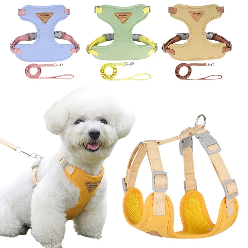 Puppy Harness Leash Set for Small Dogs - Smarsty